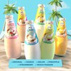 JANS - COCONUT MILK DRINK (with NATA DE COCO) MELON
