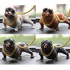 Car Bulldog Figure Dashboard Decoration Doll Decor / 자동차 불독 피규어 대시보드 장식품 인형 꾸미기