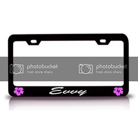 Custom Brother - Evvy Female Name Hibiscus Metal Car SUV Truck License Plate Frame Bl a22