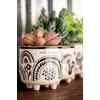Karma, Boho Footed Pot, Artificial Succulents in Ceramic Pots, Desk