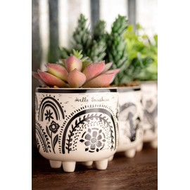 Karma, Boho Footed Pot, Artificial Succulents in Ceramic Pots, Desk Decor, Office Plants, Succulent Décor, Rainbow