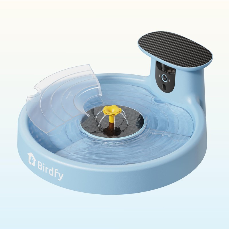 Birdfy Bath Plastic Standing Board for Hummingbird & Small Bird,