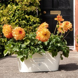 Dust and Things Engraved Metal Planter 'Don't Worry Bee Happy' - Unique Motivational Gifts for Her Women - Funny Plant Lovers Gift for Friends (Medium Planter)