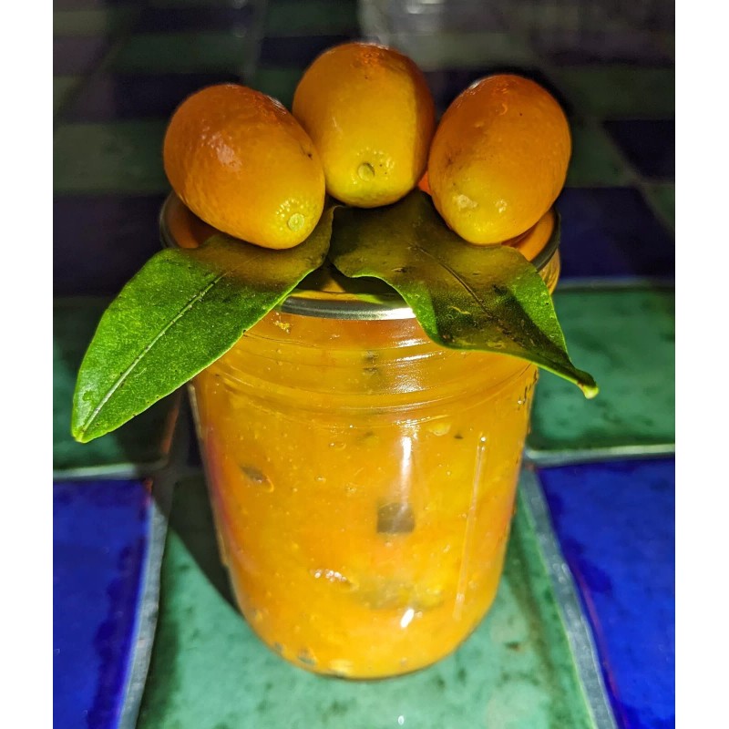 Unbranded Homemade Kumquat-Jalape