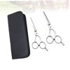 Healvian Stainless Steel Hairdressing Scissors Set 2pcs Flat Teeth Shears