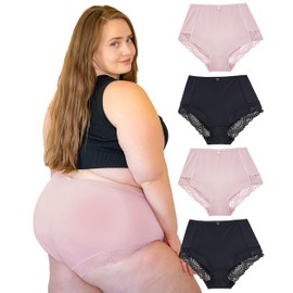 Womens Briefs Underwear Light Tummy Control Panties S-Plus Size 4 Pack Girdle Panty (3XL, Dusty Rose)