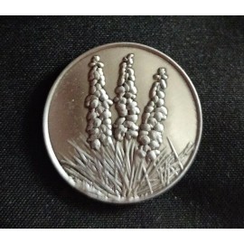 Yucca New Mexico State Flower National Park Coin Token