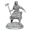WizKids D&D Nolzur's Marvelous Miniatures: Human Fighters Unpainted Dungeons and