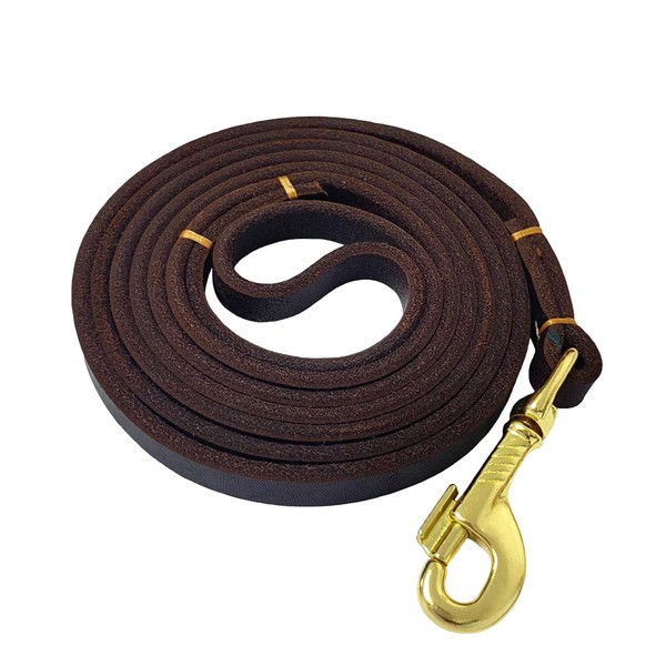 LWBMG 4ft Leather Dog Leash for Small Dogs,Thin Leather Pet