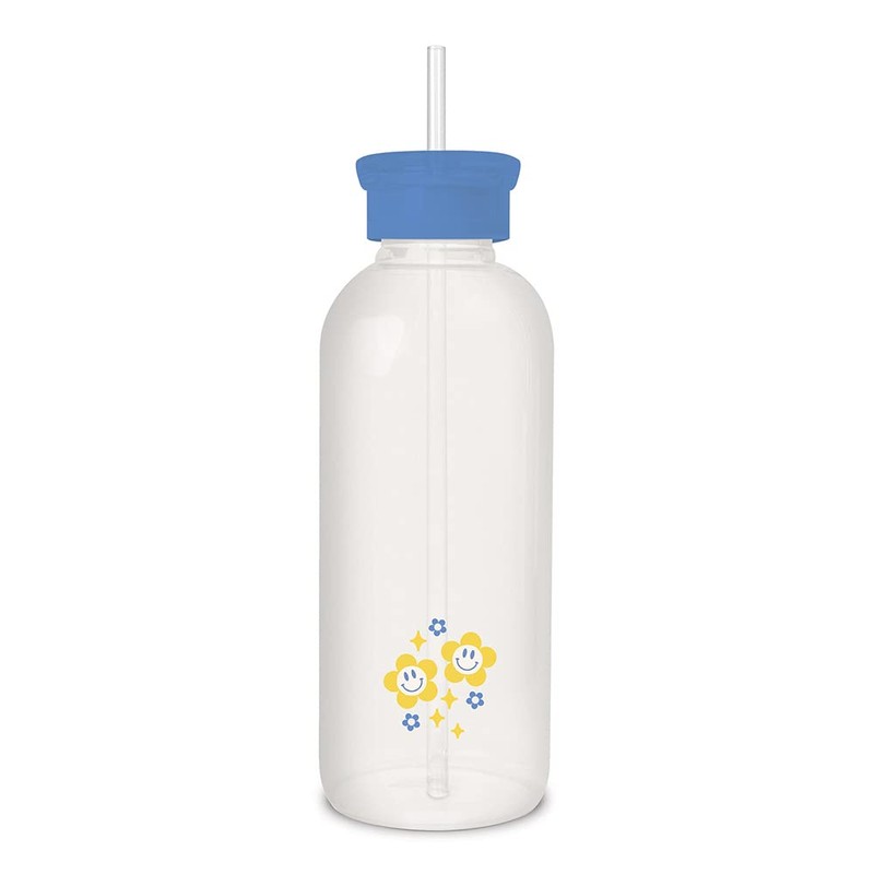 Studio Oh! New Aesthetic Glass Water Bottle with Straw &
