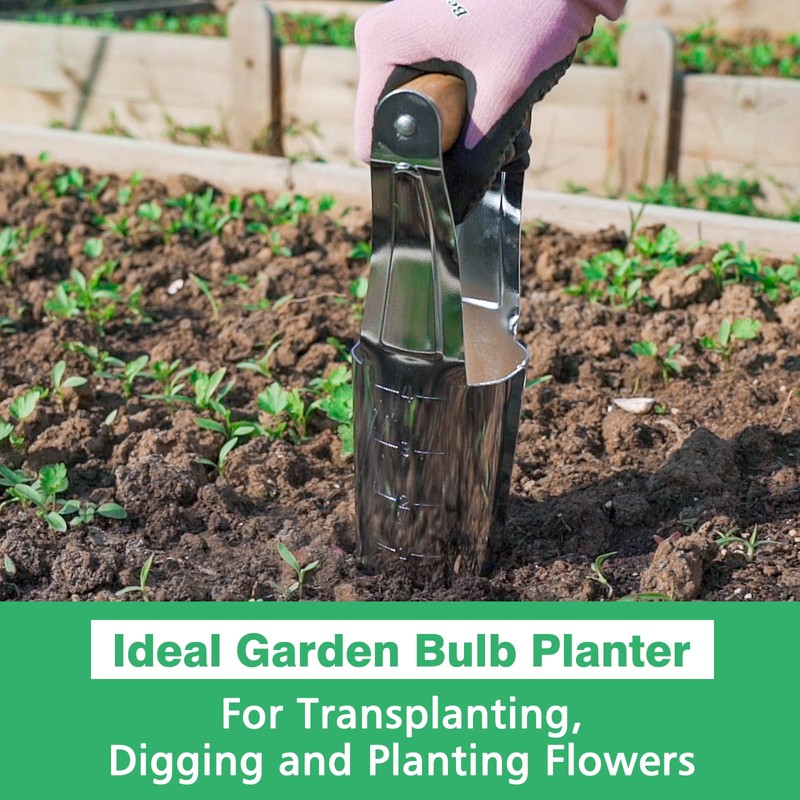 Berry&Bird Garden Bulb Planter with 4 Inches Depth Mark, Stainless