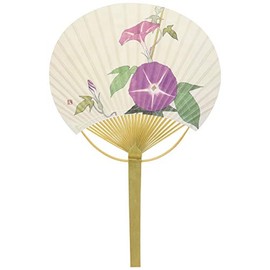 Shikoku Uchiwa Fan, Morning Glory, Hiratake, Large, Approx. 9.1 x 14.4 inches (23 x 36.5 cm)
