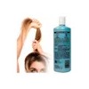 Kit 2 Pzas Shampoo Nefertiti Cola De Caballo Fortificante 1l