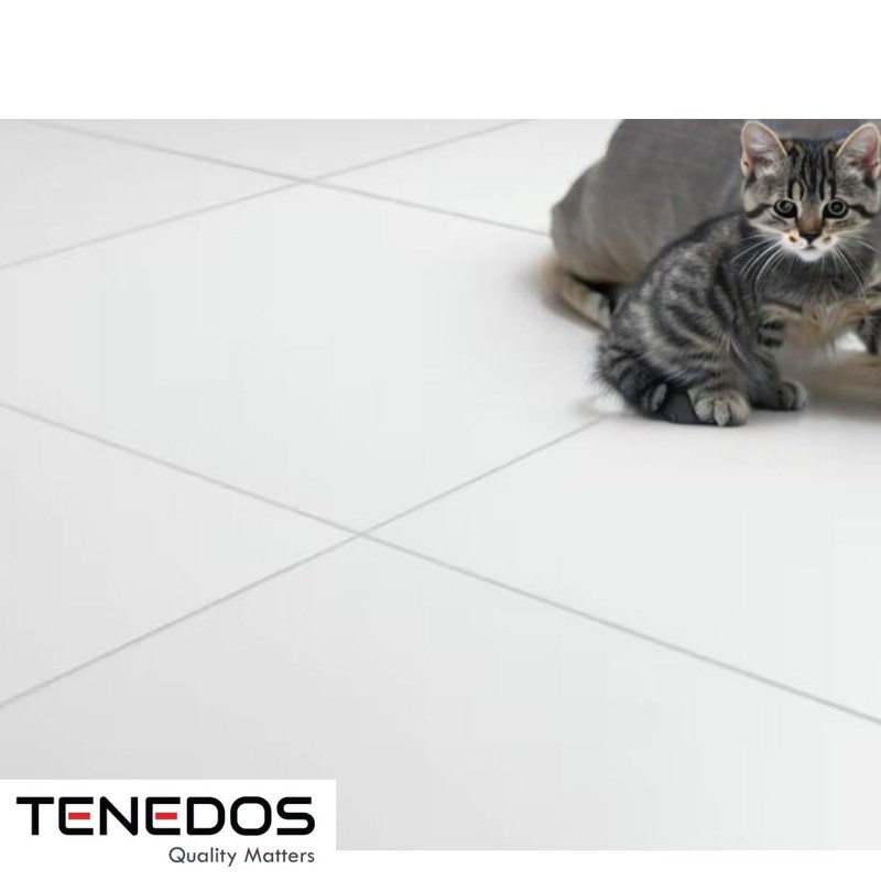 Tenedos 12x12 White Porcelain Floor Wall Tile Backsplash (Exact Size