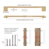 TUNNY 5 Pack Classic Cabinet Handles-12.6"/320mm Screw Spacing Champagne Bronze