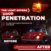 HECASA Turn Signal Light Assembly Compatible with 1970-1979 VW BUG