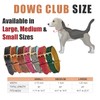 DowgClub | Genuine Leather Dog Collar | Full Grain, Heavy
