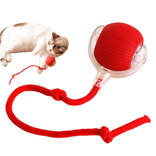 Chewy Viral Rolling Ball for Dog Cat, Viral Rolling Ball