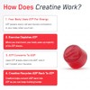 SteelFit Creatine Gummies (Creapure) 120 pack Juicy Watermelon