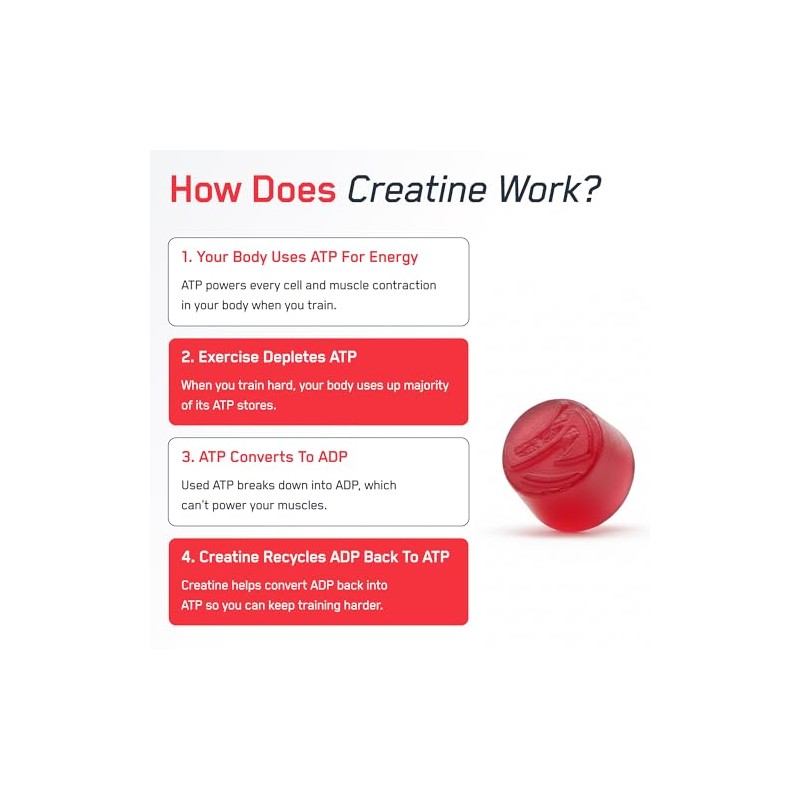 SteelFit Creatine Gummies (Creapure) 120 pack Juicy Watermelon