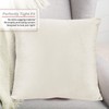 Nestl Throw Pillow Inserts Pack of 2 with Velvet Soft