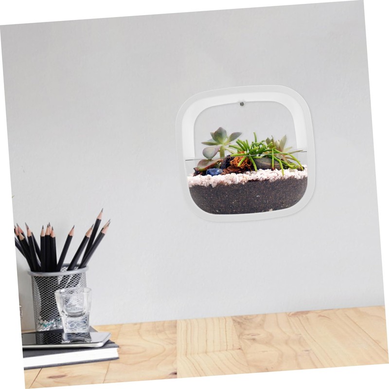 Levemolo Indoor Hanging Planters Wall-Mounted Flower Pots Space-efficient Decor for
