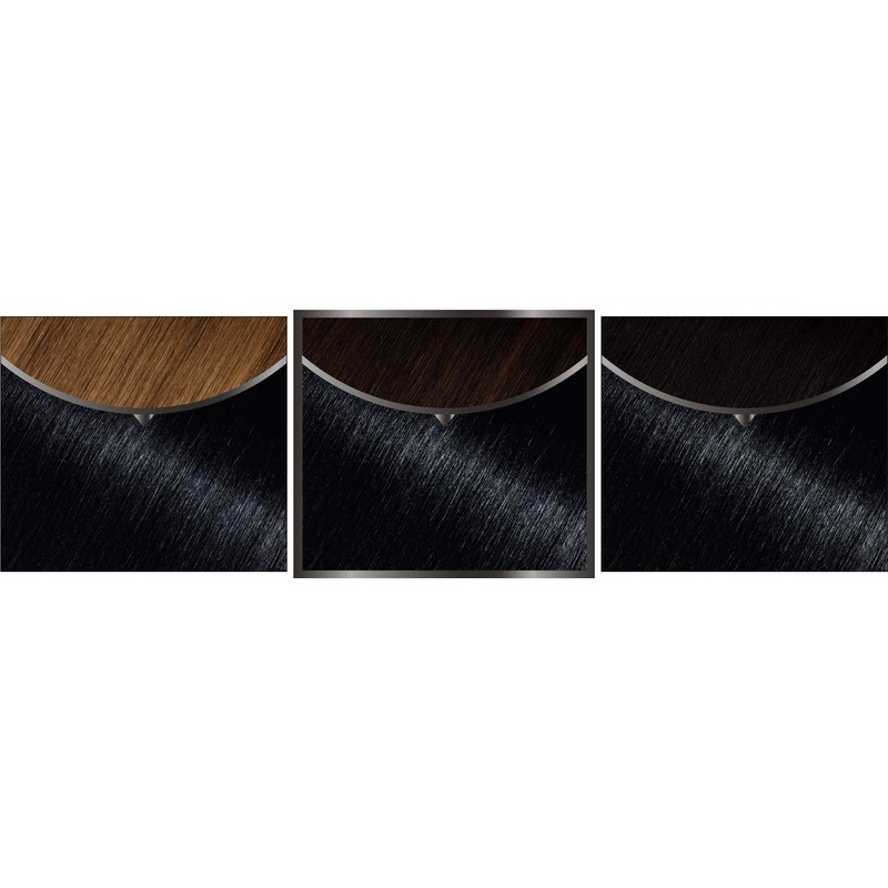 Garnier Olia Ammonia-Free Permanent Hair Colour 1.10 Sapphire Black