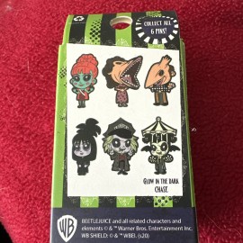 Bettle Juice  Loungefly Mystery Pin Box