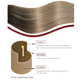 SAFIRENY Clip in Hair Extensions Real Human Hair 7pcs 140g 16 Inch Balayage Dark Brown To Dirty Blonde Double Drawn Human Hair (#2/6/18, 16")