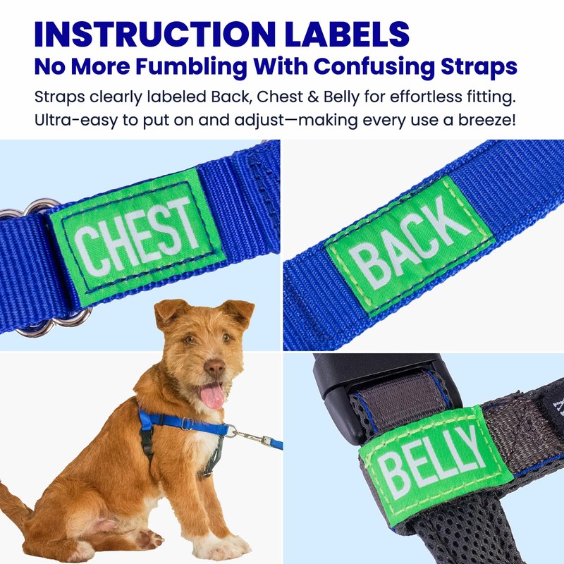 APDEXY Freedom No Pull Dog Harness, Designed for Hound Dog