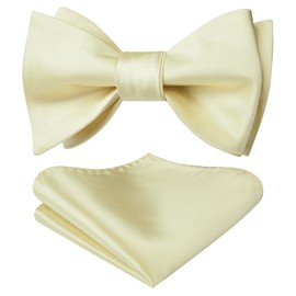 HISDERN Champagne Bow Ties for Men Bow Tie Self Tie and Pocket Square Set Formal Soild Gold Bowties Men Classic Tuxedo Bowtie Wedding