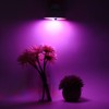 12W E27 LED Timing Plant Growth Light Bulb Indoor Greenhouse