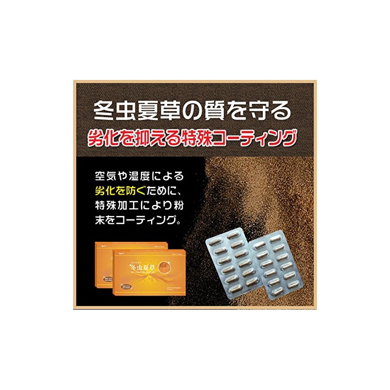 冬虫夏草 3箱 純度100% 国際健康博覧会金賞受賞