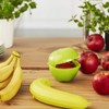 Rotho "Fun Apple Box, Green, 0.55 Litre