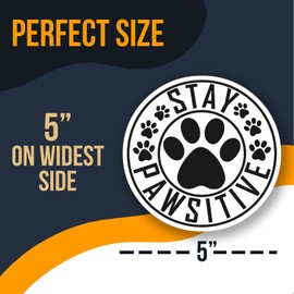 Stay Pawsitive Sticker - Cute Dog Paw Print Sticker - Motivational Sticker for Pet Lovers - Animal Lover Gift - Laptop Decor Sticker - AAS0719