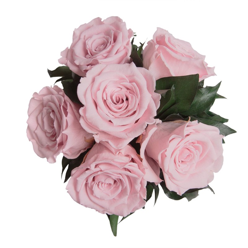 ROSEMARIE SCHULZ Heidelberg Infinity Roses in Silver Bowl - 6
