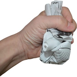 Deli Paper Sheets, Greaseproof Paper, Environmentally Friendly, Reusable Baking Paper, Sandwich Wrap Paper, 25 cm x 10 m, Disposable Food Packaging Paper for French Fries, Cakes etc. (White)