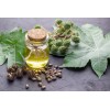 Aceite De Ricino Puro 1000 Ml.