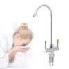 Double Holes Sink Faucet Tap Drinking Water Filter 2-Handle Kitchen