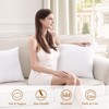 puredown® 16x16 Throw Pillow Inserts, 2 Pack Fluffy Soft Pillow