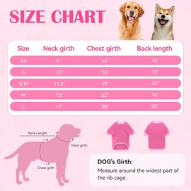 Dog Sweaters for Small Dogs, Brushed Fleece Dog Sweater Baseball Jacket Dog Clothes Soft Warm Dog Sweatshirt Puppy Sweater Boy Girl Pet(Pink-S)