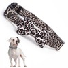 Leopard Dog Collars for Medium Dogs with Bow tie, Pretty