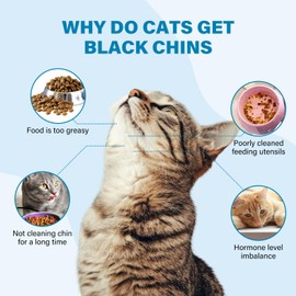 GJYC PET Cat Acne Cream & Cat Acne Brush, Cat Acne Chin Care Set - Gently Removes Cat Chin Blackheads, Nourishes Cat Chin Softness and Freshness, 60 ml