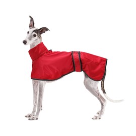 Dog Jacket Adjustable Lightweight Raincoat with Reflective Straps and Harness Hole Best Gift for Greyhounds, Lurchers and Whippets -Red -L