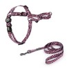 SUPER DOGGY Anti-Pull Harness for Dogs - Easy Walk Harness