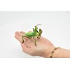 Papo Praying Mantis Model, Museum Quality Rubber Replica, Hand Painted