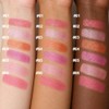 Erinde Lápiz Labial Purpurina Metálica con Mate, Tinte Labial Duradero,#02