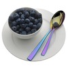 Towle Living Dream Rainbow 20-Piece Flatware Set - Stainless Steel