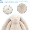 Best Pet Supplies Interactive Bunny Buddy Dog Toy with Crinkle