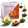 Creano Blooming Tea Gift Set with Glass Pot 17oz/500ml with